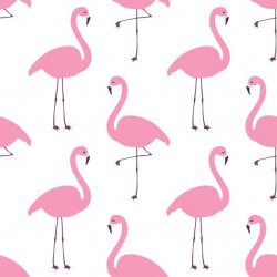 Flamingo Wallpaper premium clipart - ClipartLogo.com