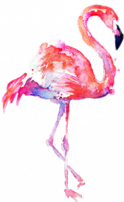 flamingo watercolor freetoedit