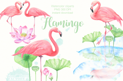 Watercolor flamingo clipart