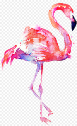 Flamingo Watercolor clipart - Flamingo, Painting, Art ...