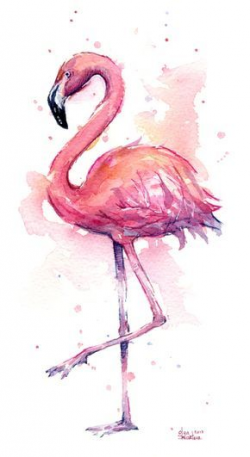 flamingo, whimsical, tropical, pink flamingo, flamingo ...
