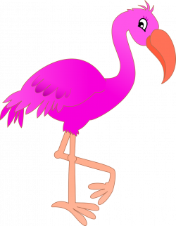 Flamingo PNG Transparent Images (64+)