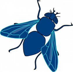 Blue Fly Clip Art at Clker.com - vector clip art online, royalty ...