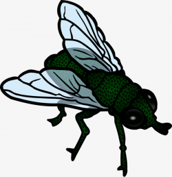 Green Flies, Green, Fly, Flight PNG Image and Clipart for Free Download