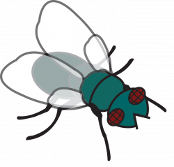28+ Collection of Fly Clipart | High quality, free cliparts ...