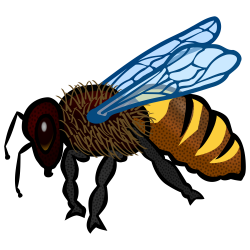 OnlineLabels Clip Art - Bee (Colour)