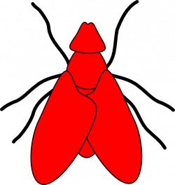 Fly Line Drawing - Red Clip Art at Clker.com - vector clip art ...