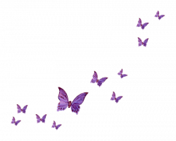 Fly Butterfly Clip art - butterfly 800*642 transprent Png Free ...