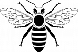 Public Domain Clip Art Image | Simple bee from above | ID ...