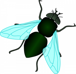 Green House Fly | Green | Pinterest | Green houses and Clip art