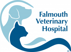Falmouth Veterinary Hospital - Veterinarian In Falmouth, ME USA ...