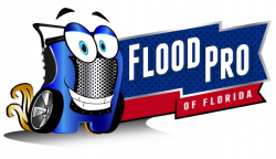 Water Damage Tampa Restoration | Mold Removal | Flood Pro of Florida LLC