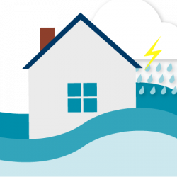 Flood Insurance Basics / Minnesota.gov