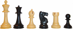 Australian Chess Federation Newsletter 30 June 2016