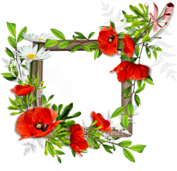 Tube Frame flowers poppies | Accessories for Scrap booking ...