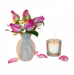 Fleurs ( dans vase ) | Vase of flowers | Pinterest | Dan, Magnolia ...
