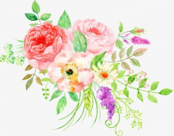 Beautiful Floral Watercolor Peony Flower Cluster PNG ...