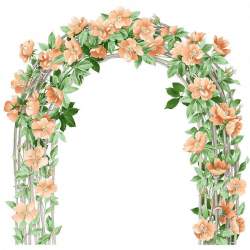 Flower Arch Floral design Clip art - Floral pattern 616*617 ...