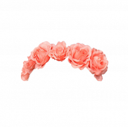 Flower Crown Transparent PNG Pictures - Free Icons and PNG Backgrounds