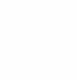 Floral Decoration PNG Clip Art | Gallery Yopriceville - High ...