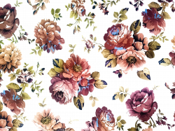 Floral Clipart texture - Free Clipart on Dumielauxepices.net