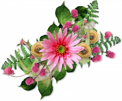 Cluster_frame (10).png | Pinterest | Flower spray, Flowers and Clip art