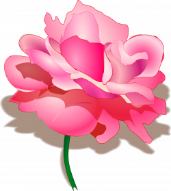 Pin by Marge Reimann on Clip Art | Pinterest | Open rose and Clip art