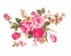 Flower Garden roses Clip art - Peony 3658*2914 transprent Png Free ...