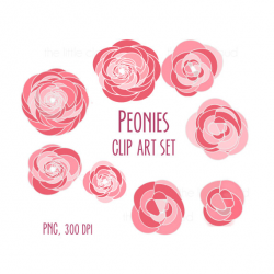 Peonies clip art, pink and red flowers clip art, floral ...