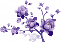 Purple Flower Clip art - Painted Transparent Large Purple Flower ...