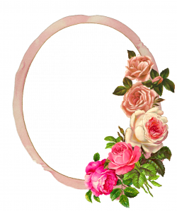 frame-digital-flower-roses-ribbon-pink-png-center.png (1335×1600 ...