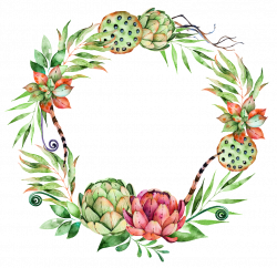 Hand Painted Watercolor Succulents Wreath | HD Photos | Free Download