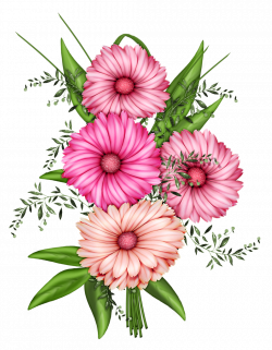 28+ Collection of Floral Clipart Transparent | High quality, free ...