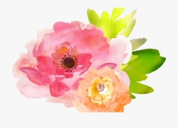 19 Free Watercolor Flower Graphic Transparent Download ...