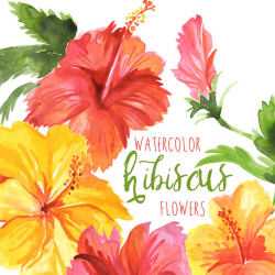 Watercolor Hibiscus Flowers, Tropical Flower Clipart ...