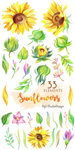 Watercolor sunflowers clipart, rustic flowers summer clipart ...