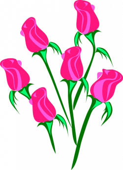 Resultado de imagem para flores png rosa | imprimir | Pinterest ...