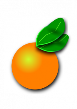 Clipart - Florida Orange Citrus
