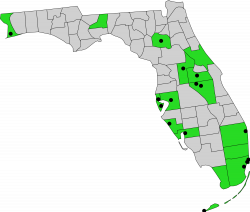 File:Florida counties and cities with domestic partnership.svg ...