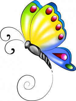 0_7ae61_269d21ef_XXXL.png | Butterfly, Clip art and Stenciling