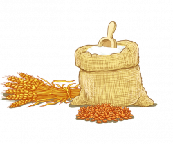 Wheat flour Cereal Clip art - Hand-painted cartoon wheat flour 770 ...