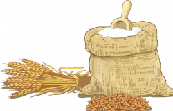 Wheat flour Cereal Clip art - Wheat flour 994*638 transprent Png ...