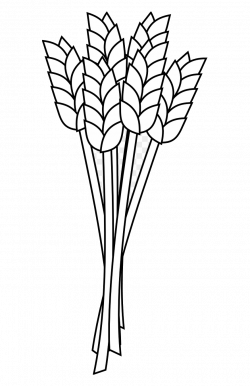 Wheat Freeuse Stock Flour Coloring Book Clipart Outline ...