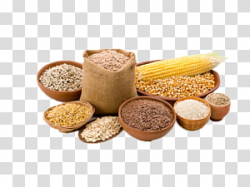 Food Grain PNG clipart images free download | PNGGuru