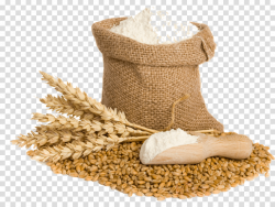 Wheat Cartoon clipart - Wheat, Product, transparent clip art