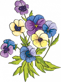 Pansies.png (504×675) | Flower Coloured Illustrations | Pinterest ...