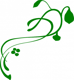 Бесплатные фото на Pixabay - Процветать, Лоза, Зеленый, Цветок ...