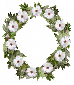 Free photo Flower Border Wreath Frame Leaf - Max Pixel