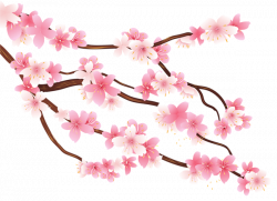 Pink Spring Branch PNG Clipart Image | Planner Happiness | Pinterest ...