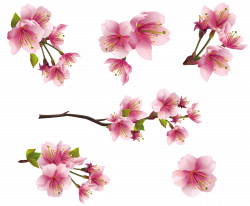 Tiny Flowers PNG Transparent Tiny Flowers.PNG Images. | PlusPNG